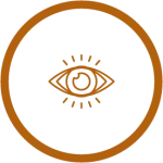 Vision